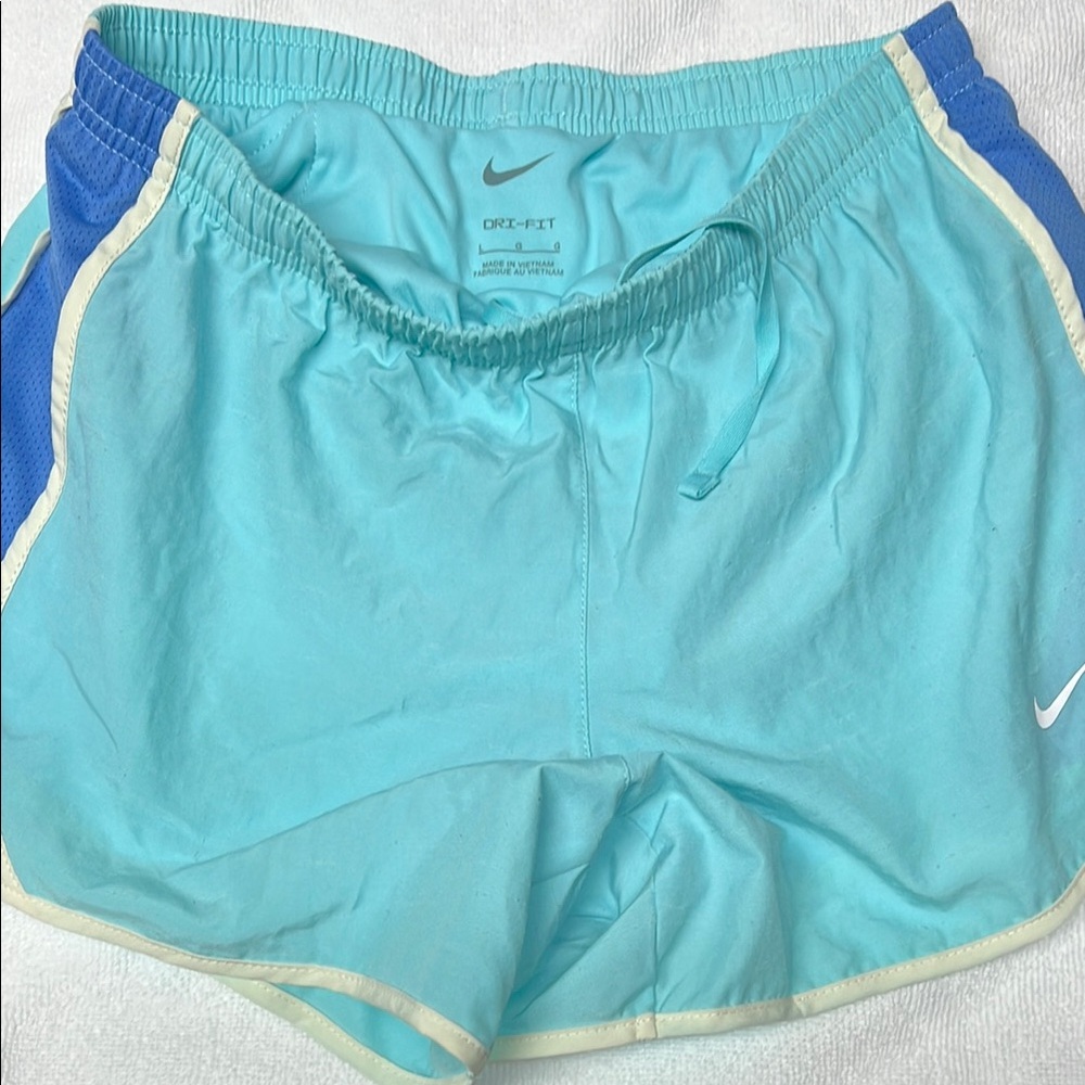 Nike Dri-FIT Light Blue Running Shorts